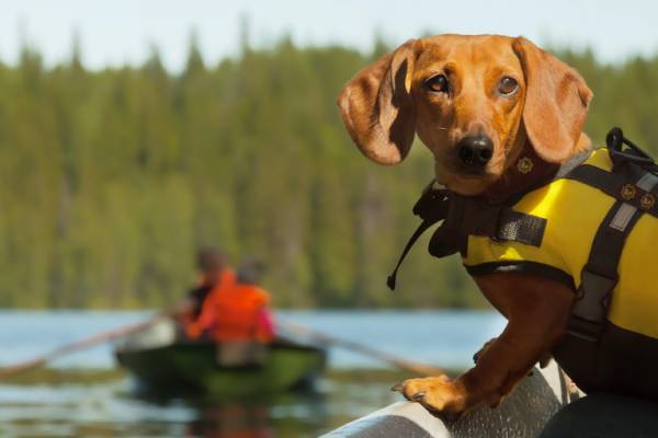Lake Tahoe Vacation Rentals