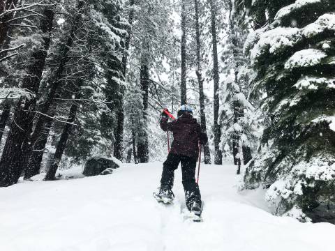 Snowshoe Tahoe